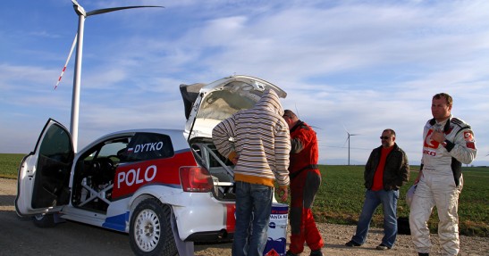 Testy Polo Proto
